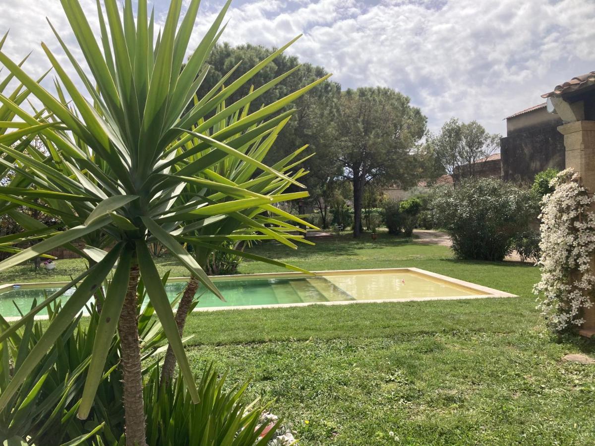 Le Patio, Chambres D Hotes Pour Adultes En Camargue, Possibilite De Naturisme A La Piscine, Aimargues Kültér fotó