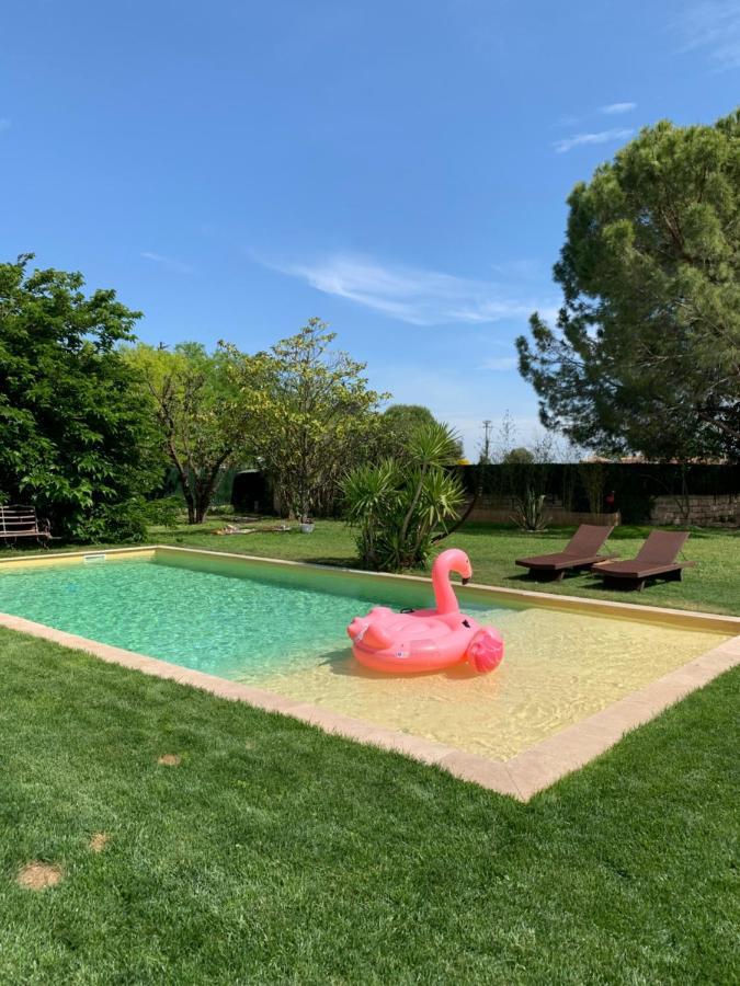 Le Patio, Chambres D Hotes Pour Adultes En Camargue, Possibilite De Naturisme A La Piscine, Aimargues Kültér fotó