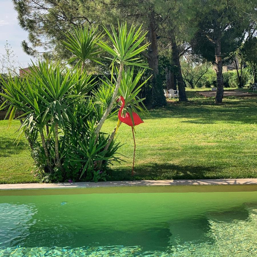 Le Patio, Chambres D Hotes Pour Adultes En Camargue, Possibilite De Naturisme A La Piscine, Aimargues Kültér fotó