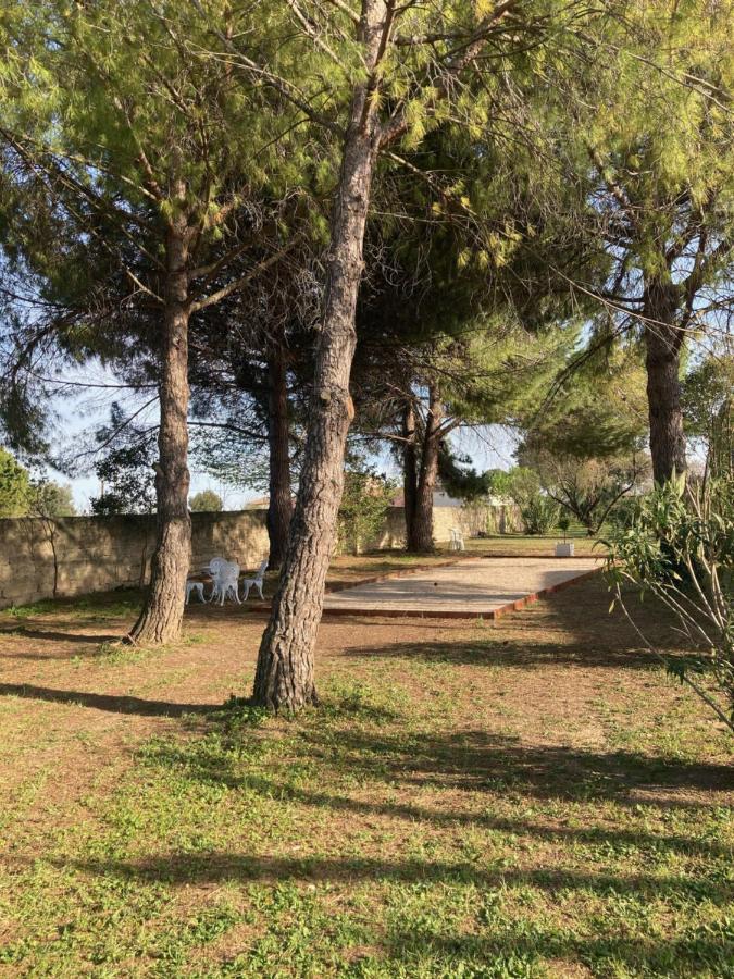 Le Patio, Chambres D Hotes Pour Adultes En Camargue, Possibilite De Naturisme A La Piscine, Aimargues Kültér fotó