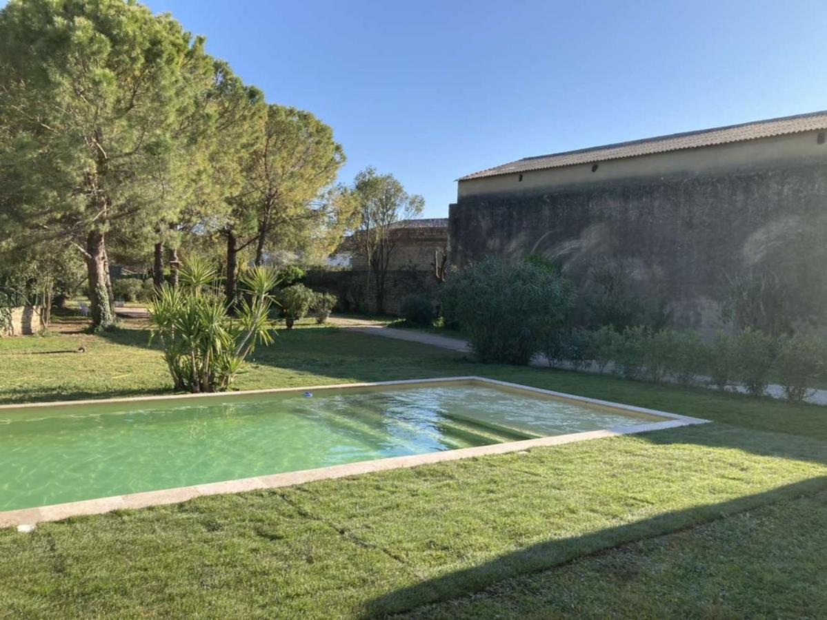 Le Patio, Chambres D Hotes Pour Adultes En Camargue, Possibilite De Naturisme A La Piscine, Aimargues Kültér fotó
