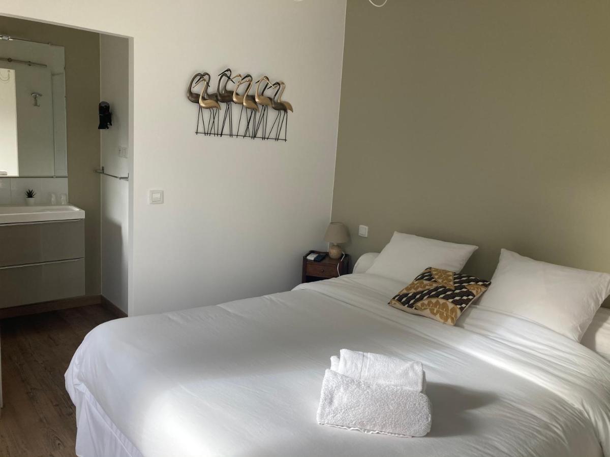 Le Patio, Chambres D Hotes Pour Adultes En Camargue, Possibilite De Naturisme A La Piscine, Aimargues Kültér fotó
