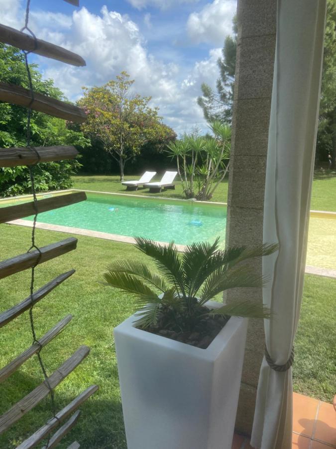 Le Patio, Chambres D Hotes Pour Adultes En Camargue, Possibilite De Naturisme A La Piscine, Aimargues Kültér fotó